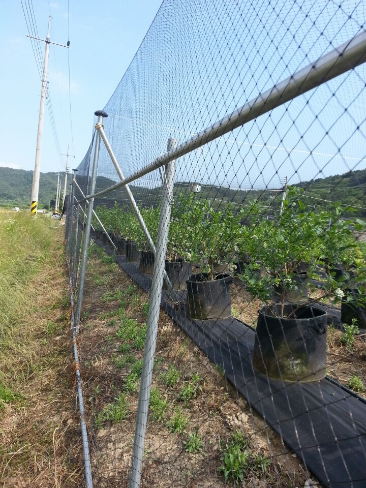 방조망ㆍ까치망