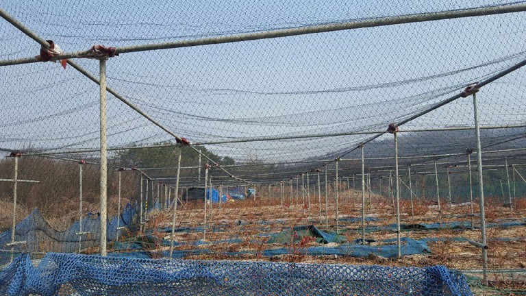 방조망ㆍ까치망