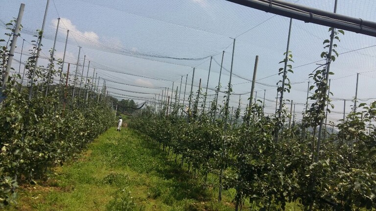 방조망ㆍ까치망