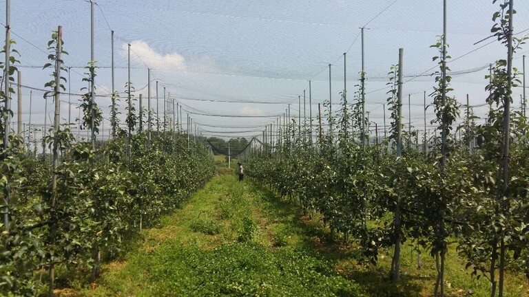 방조망ㆍ까치망